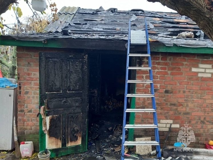 В Ростовской области из-за ветхой проводки жильцы едва не лишились дома