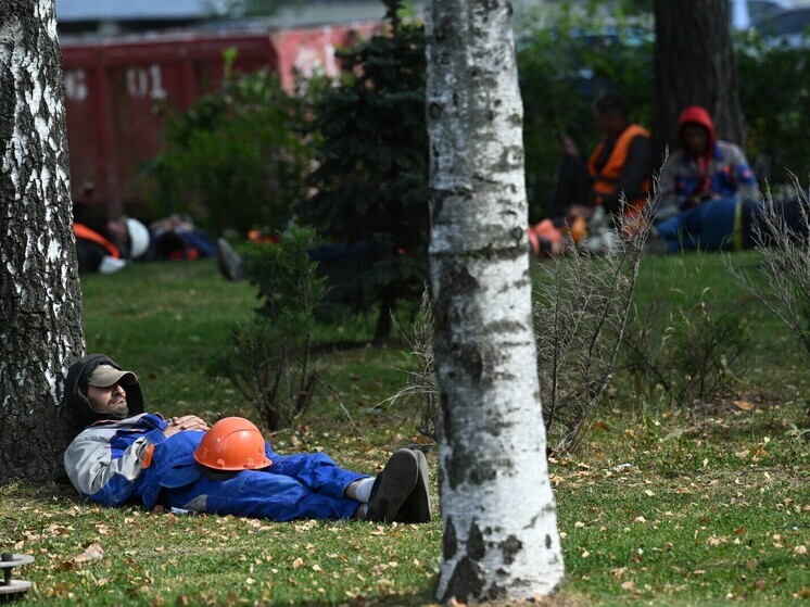 Усиление контроля: в 2025 году резко возросло количество дел о нелегальной миграции