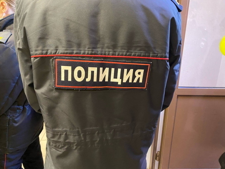 Омич-домушник вычислял пустующие квартиры по пыли на ручках