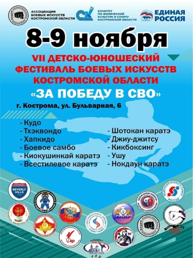 В эти выходные костромичей приглашают на фестиваль боевых искусств «За победу в СВО»