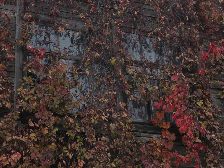 Узнайте, какой сегодня праздник 7 ноября 2025 года в России. Читайте о Дне Октябрьской революции, историческом военном параде 1941 года и православных святых.