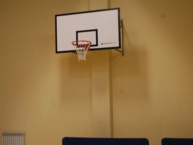 Вологодские эксперты заняты созданием образовательного пособия по волейболу для спортсменов из Алчевска