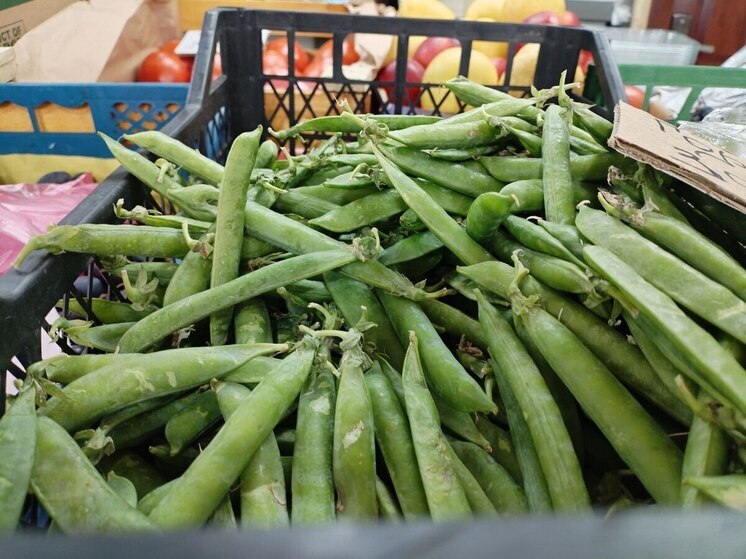 Россельхознадзор признал недействительной декларацию на калининградские бобы