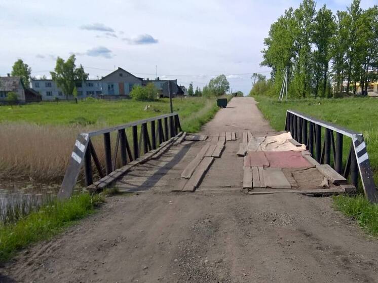 В Чудовском округе за 83 миллиона построят новый мост через Доброху