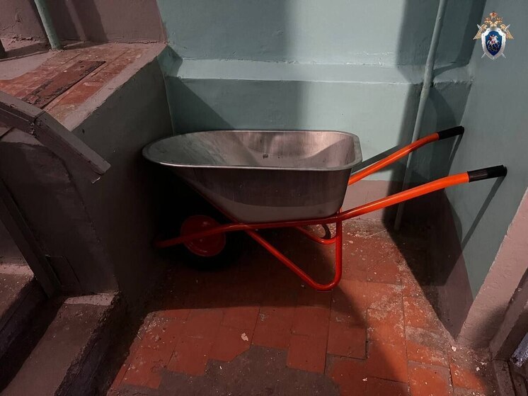 Магнитогорец убил собутыльника, завернул в ковер и бросил у подъезда