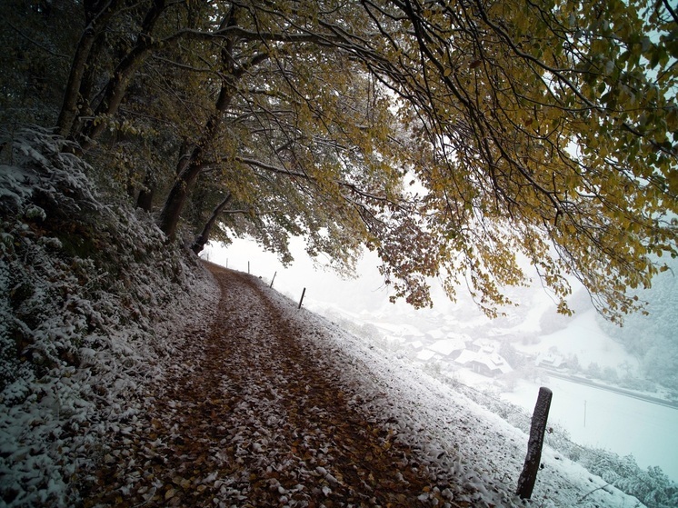 По народному календарю 7 ноября 2025 года отмечаются Дедовские плачи, православная церковь вспоминает святого великомученика Димитрия Солунского, небесного покровителя святого благоверного великого князя Димитрия Донского