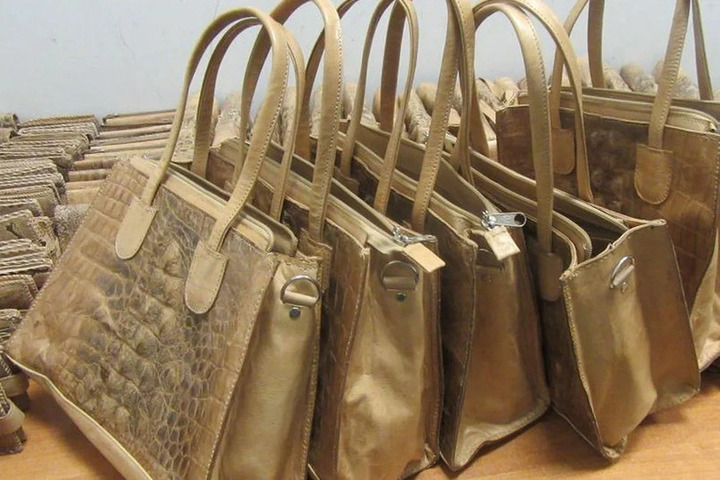 Ввоз кожи питонов и крокодилов пресекли в Татарстане