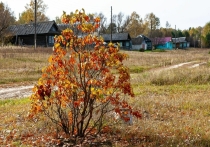7 ноября в народном календаре носит поэтичное и грустное название — Дедовские плачи. В этот день природа сама словно оплакивает уходящую осень: на Руси часто шли дожди или ложился первый снег. Люди, следуя этому настроению, посвящали день памяти предков, тишине и размышлениям о жизни.