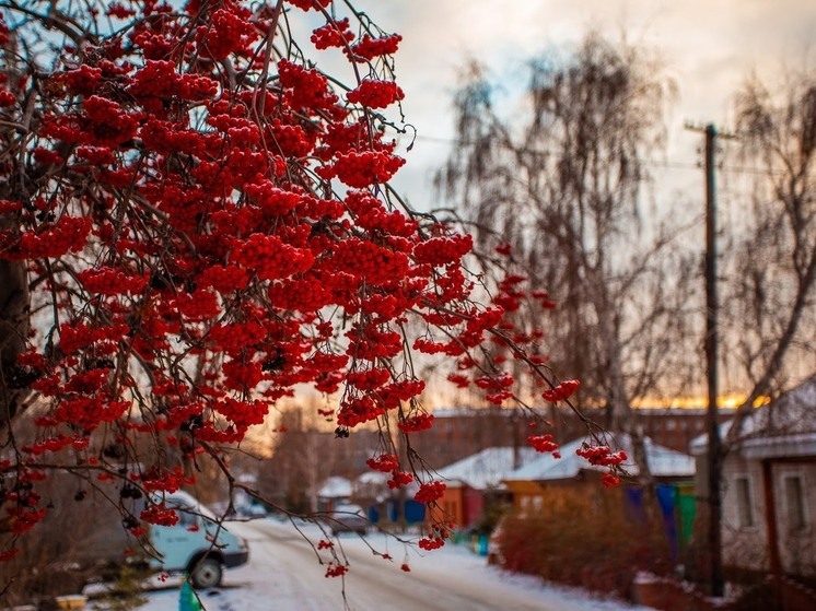 Потепление и снег с дождём пообещали синоптики омичам на выходные