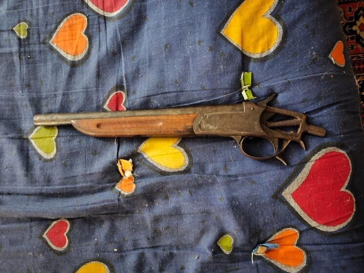 Наркотики и оружие нашли полицейские у бывших супругов под Рязанью