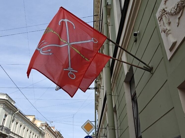 Петербуржцы выберут муниципальных депутатов в 2026 году