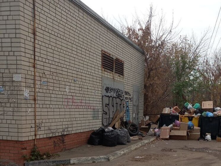 В центре Энгельса не вывозят мусор с контейнерной площадки