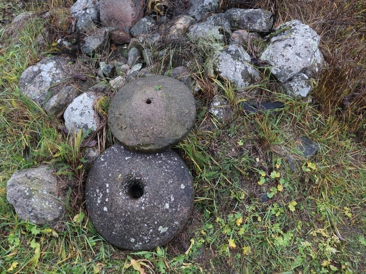 Экспозиция музея кяппесельгской школы пополнилась новыми старыми экспонатами