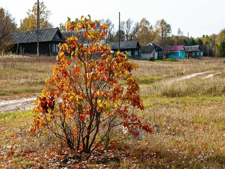 Что можно, а что нельзя делать 7 ноября на Дедовские плачи