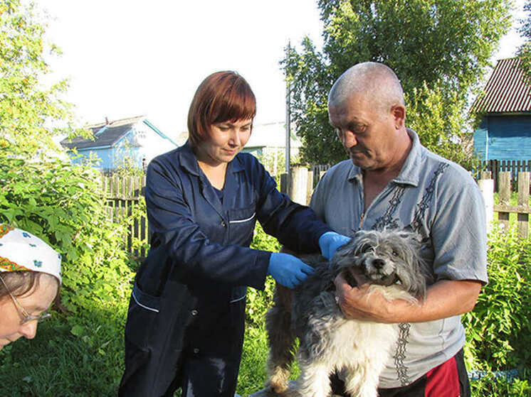Вологодские ветеринары привили от бешенства более 20 тысяч домашних животных