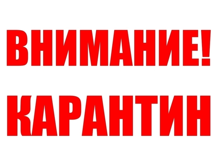 В 39 детских садах Нижегородской области введен карантин