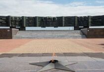 Мужчина рассказал о сложностях и особенностях работы поисковика