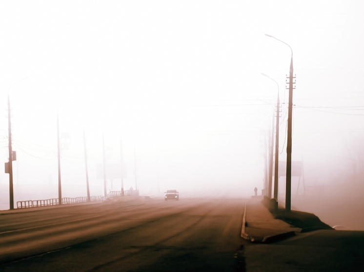 Туман с дождем и +11 ждут туляков в конце короткой рабочей недели