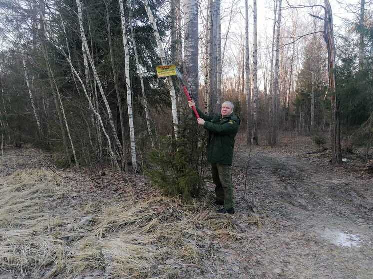 Специалисты филиала «Русский лес» ГАУ МО «Мособллес» против незаконной рекламы на территории Серпухова