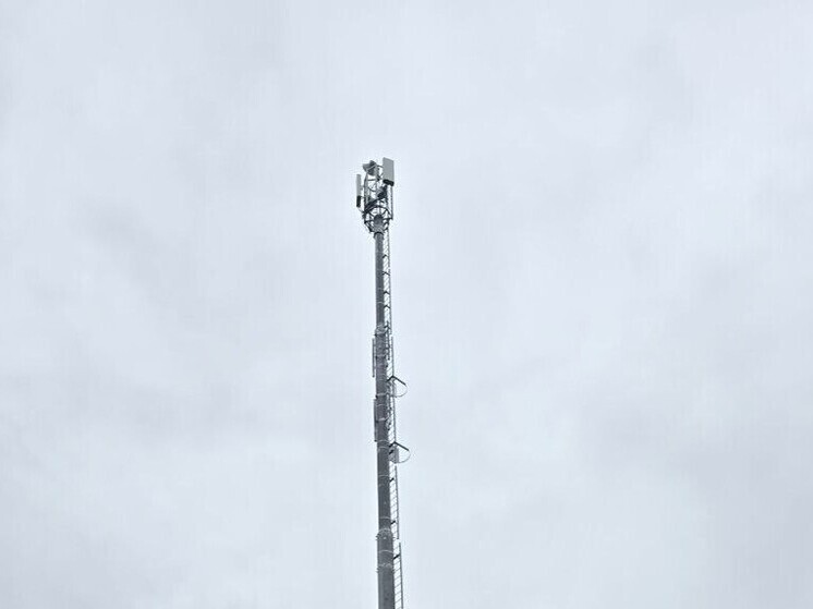 До окончания общероссийского голосования за подключение мобильной связи в малых поселениях – считанные дни