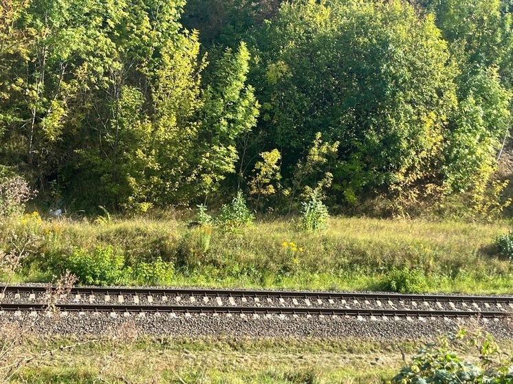 В Урицком районе Орловщины ограничат движение транспорта из-за ремонта ж/д пути
