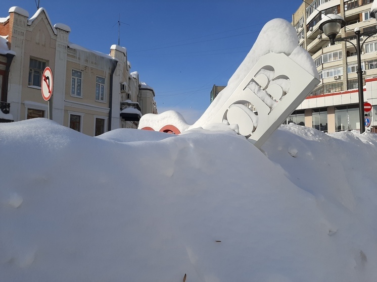 Чиновники хотят наладить с населением Саратова снежные контакты
