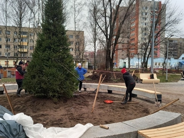 В парке 30-летия Победы появилась новая ель