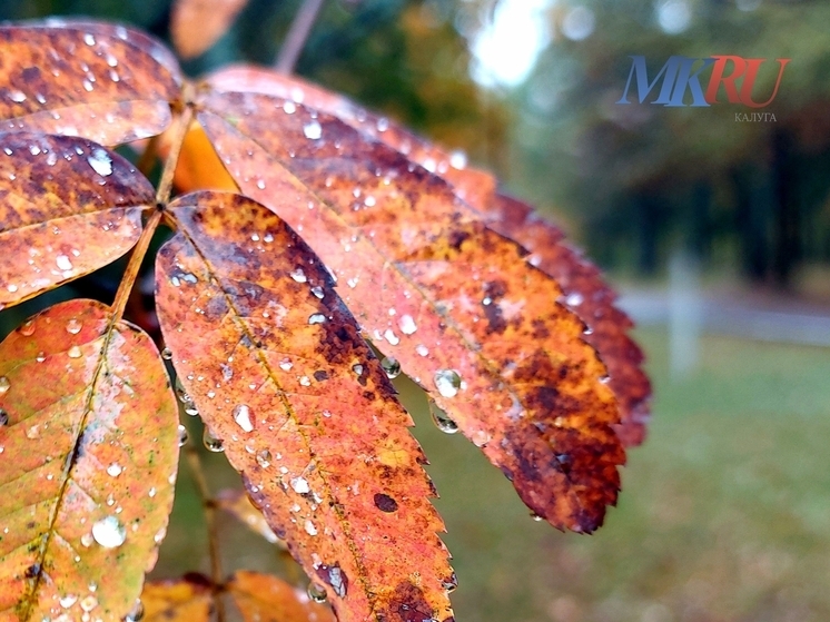 Калужан вновь ждут небольшие дожди
