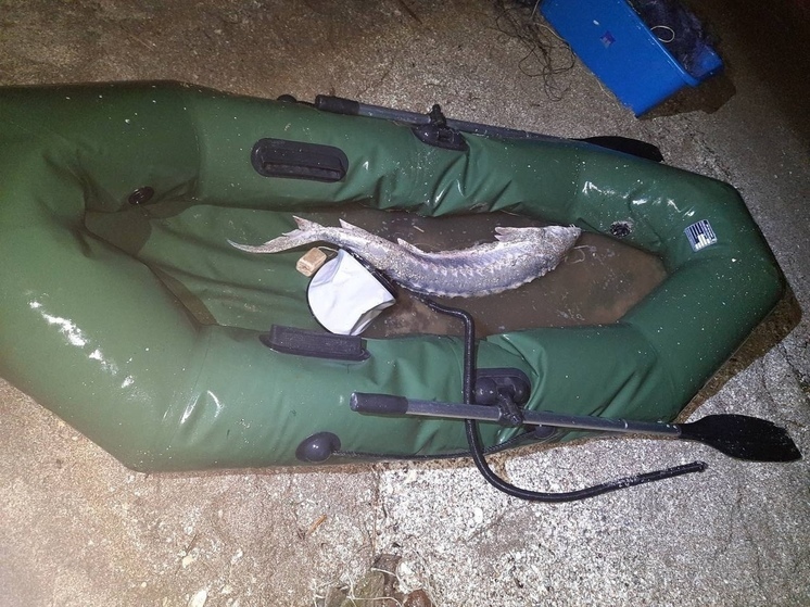 В Приморско-Ахтарске суд назначил браконьеру полтора года исправительных работ