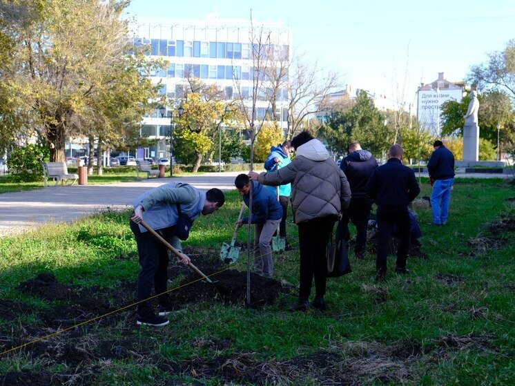В астраханском сквере Ульяновых высадили сакуру