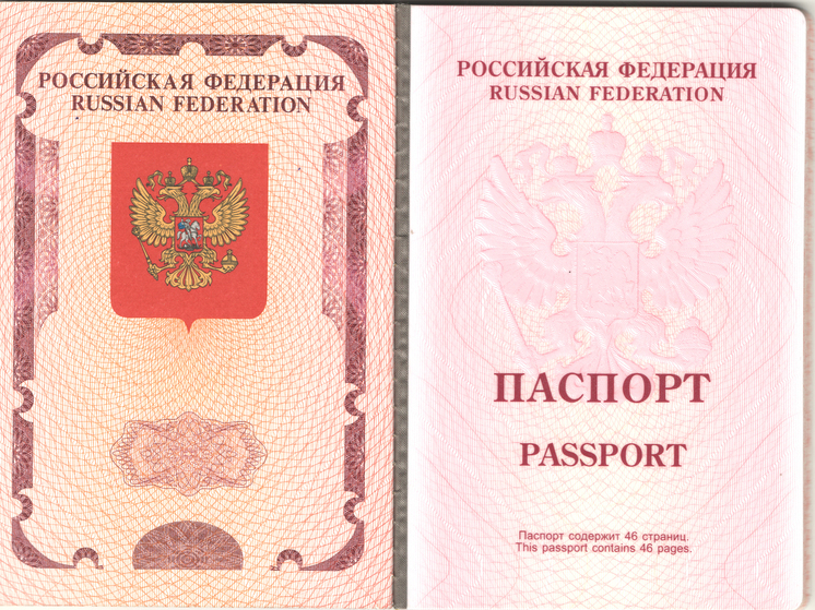 Германия — Биометрический шанс: ждет ли россиян визовый апокалипсис