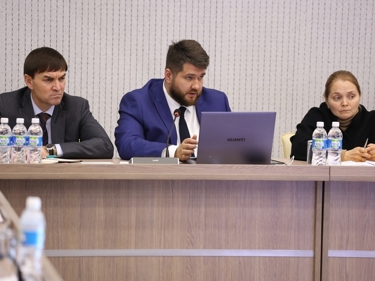 Минцифры: в системе управления – свыше 3,1 тыс. проектов программы развития региона