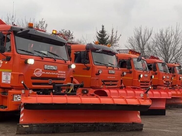 В Воронеже стартовали рейды по готовности техники к зиме