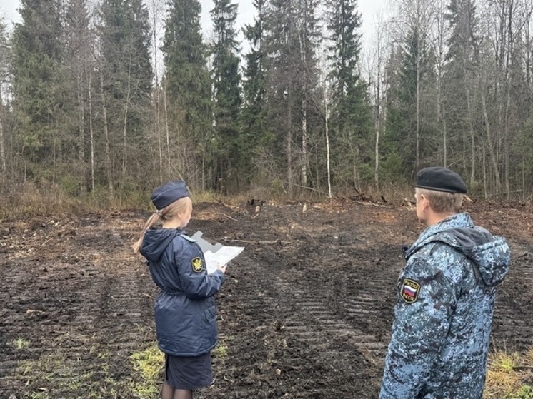 Костромской бизнесмен незаконно занял муниципальные земли под размещение оборудования