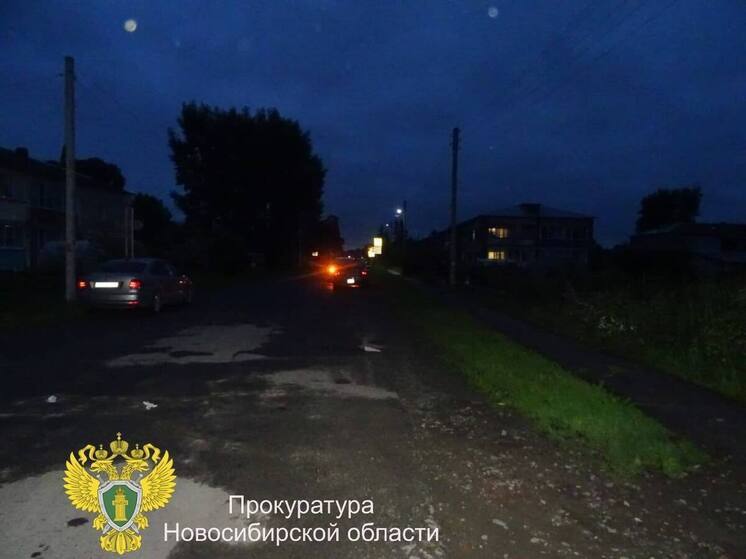 Конфликт между братьями в Новосибирской области закончился убийством