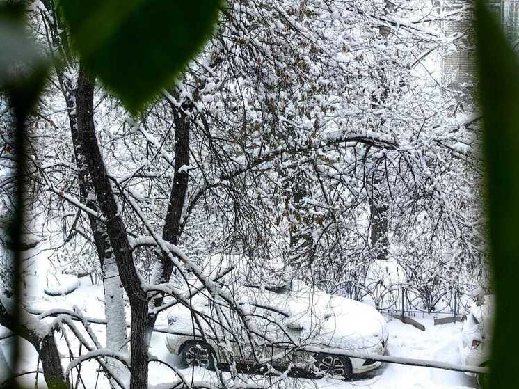 Приморский экстрим: какие сюрпризы приготовила погода на выходные