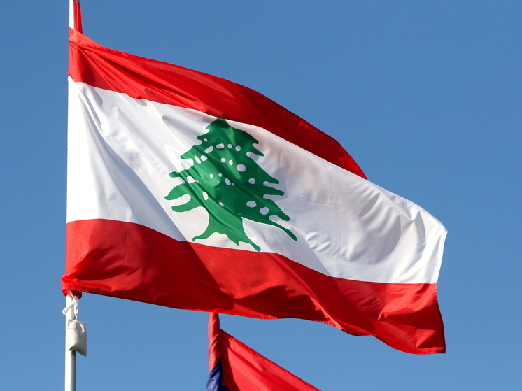 Libya Review: ливанский суд освободил сына Каддафи без выплаты залога