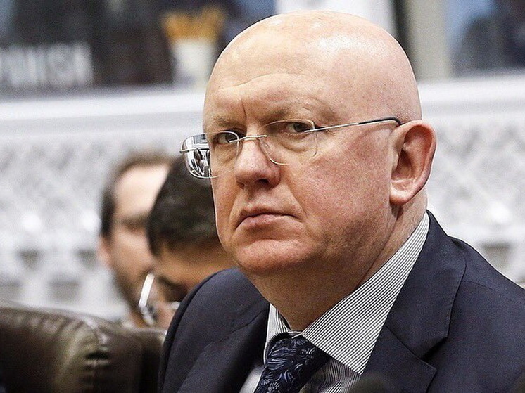 РИА Новости: Небензя обсудил с Уолтцем проект резолюции СБ по Газе