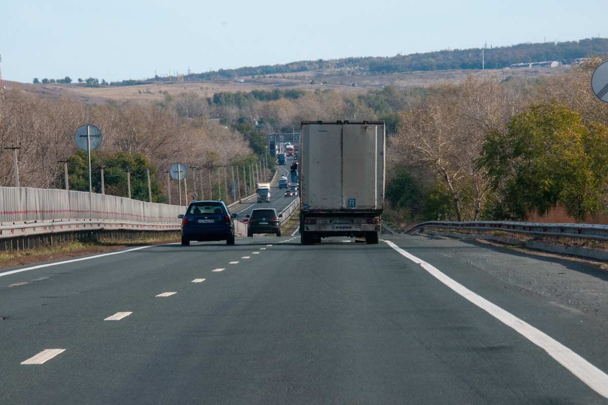 Полицейских отправили в колонию за «зелёный коридор» для фур