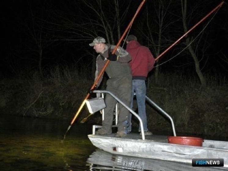 В Кинешме задержан браконьер с острогой