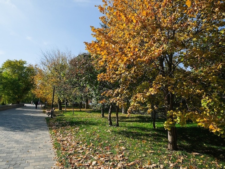 Синоптики обещают волгоградцам 7 ноября до +14℃