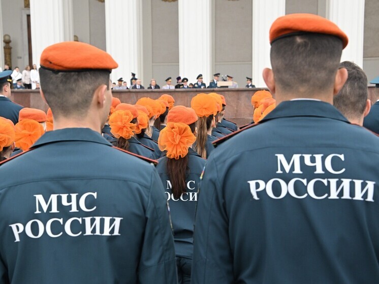 Девочка погибла при пожаре в Новосибирской области, возбуждено уголовное дело