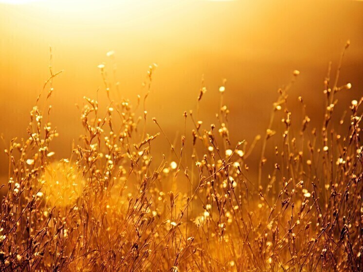 В Курской области 7 ноября сохранится сухая и тёплая погода