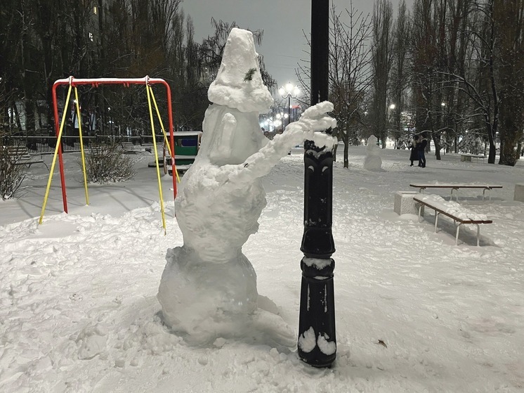 В Саратове продают «руки снеговика» за 490 рублей