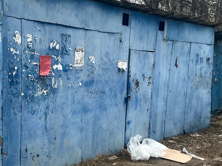 В столице Орловской области скандальная история с грядущим массовым сносом гаражей получила продолжение