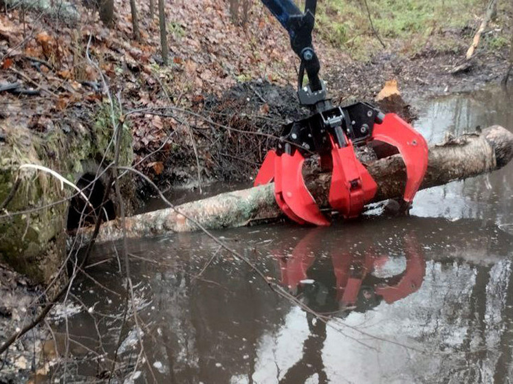 Бобры спровоцировали затопление дороги на Лунево во Владимире