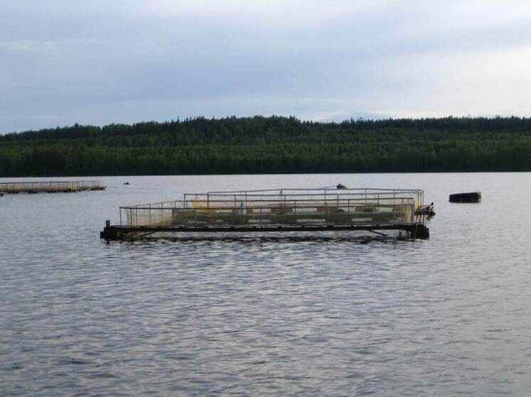 Комиссия отказала в проекте нового рыбоводного участка в Лахденпохском районе