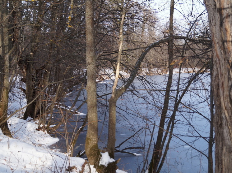 Атмосферный фронт атакует: какие регионы России ждет резкое похолодание с 7 ноября