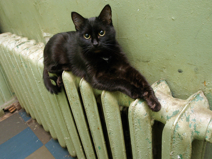 РБК: с 7 ноября 2025 года в РФ начнут штрафовать за срыв отопительного сезона