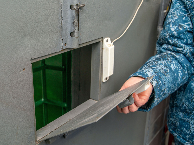 В Челябинской области задержан мигрант-нелегал за попытку подкупа полицейского